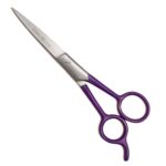 STAINLESS STEEL SCISSOR  5.5" COLOR