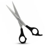 DANIAL SCISSOR 6" PLASTIC HANDLE BLYSTER PACKING